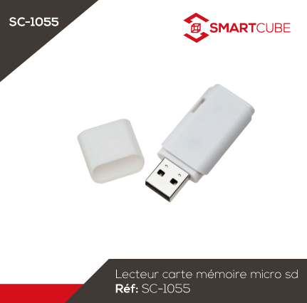 Carte SD - Micro SD & Clé USB - Le Zébu