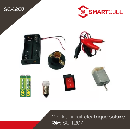 Mini Circuit Electrique